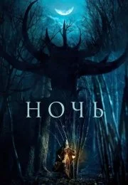 Ночь (2025)